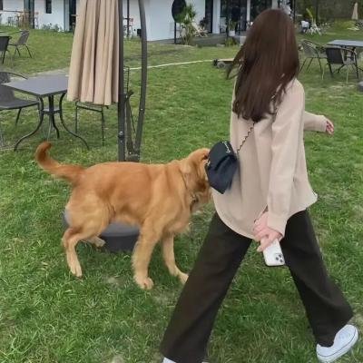 灵魂互换后